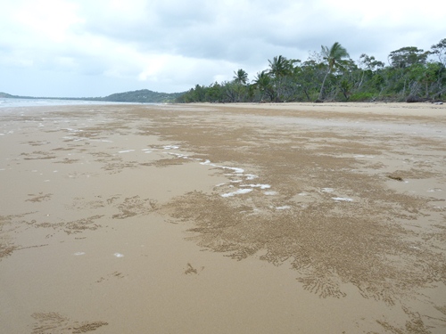 Mission Beach
